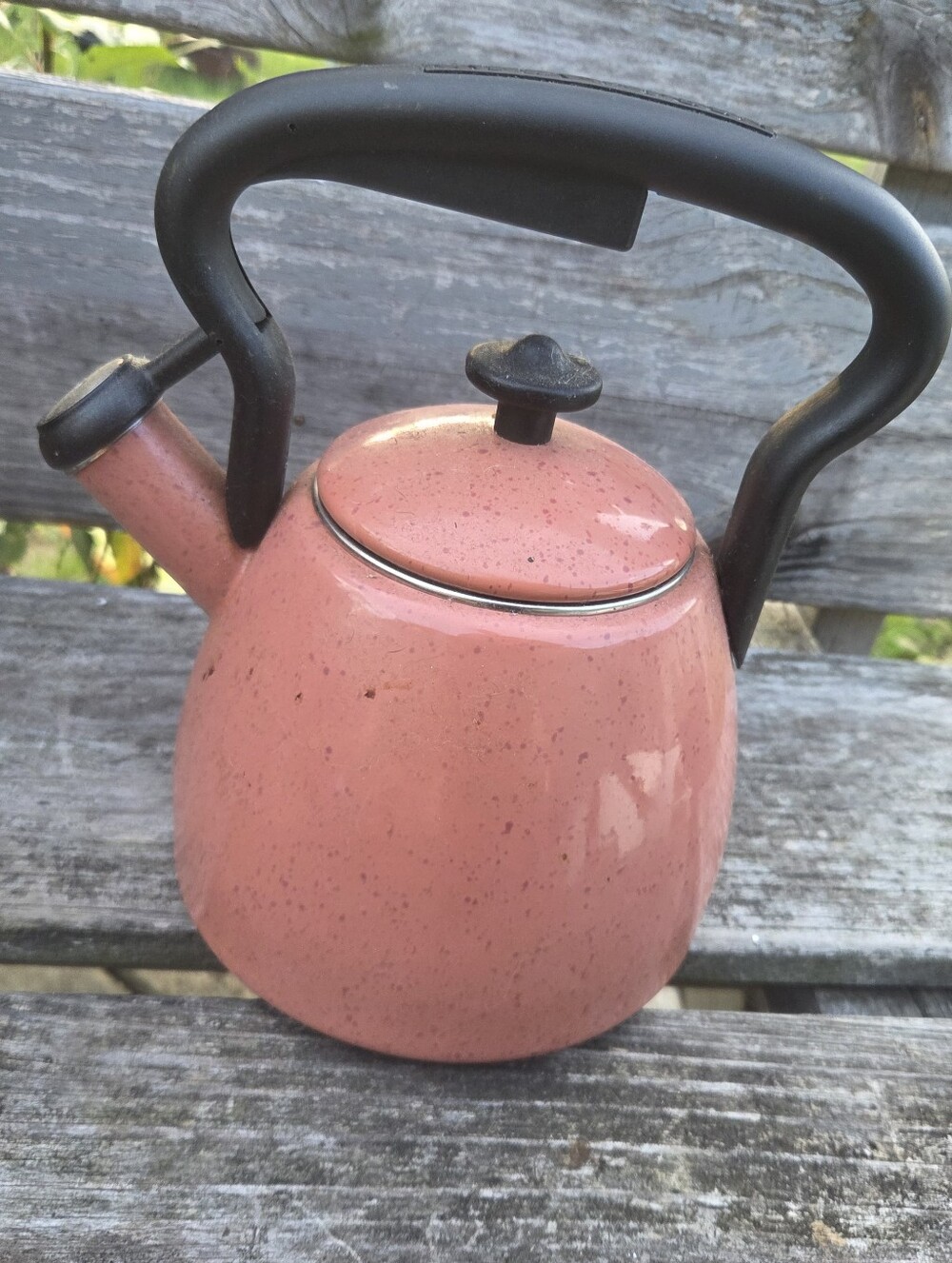 Paula Deen Signature Enameled Whistling Tea Kettle 2 Qt Pink Coral Speckle